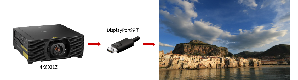 DisplayPort 1.2端子