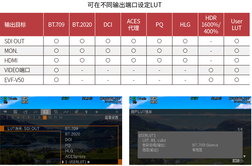 套用LUT进行观看