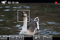 在与被摄体距离发生变化的情况下，短片伺服自动对焦也能持续追踪对焦。 