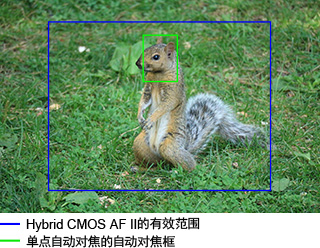 能够高速自动对焦的Hybrid CMOS AF II