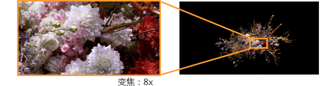 变焦放大