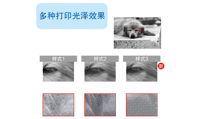 多种打印光泽效果