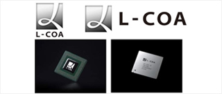 L-COA圖像處理技術