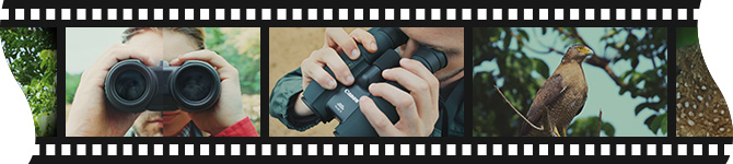 [廣告]通過(guò)短片了解IS雙眼望遠(yuǎn)鏡的魅力