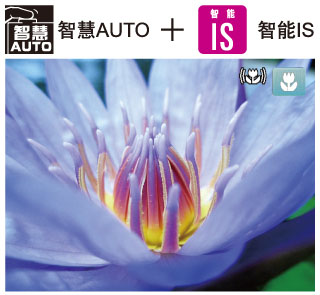 结合“智慧AUTO”，更优秀的拍摄表现