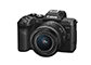 EOS R8 Mark II + RF24-50mm F4.5-6.3 IS STM（3/4）