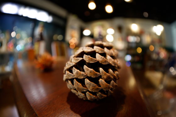 静物（对角线鱼眼）