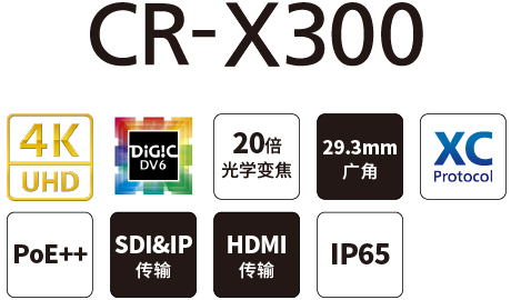 CR-X300