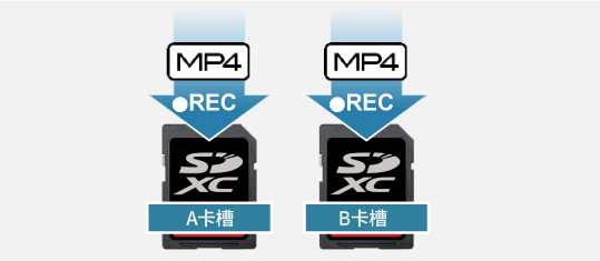 双卡存储(XF-AVC+XF-AVC)