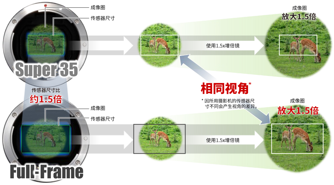 使用内置增距镜时，可支持Super 35mm和全画幅感应器