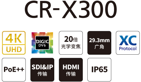 CR-X300