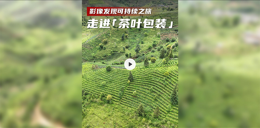 走进“茶叶包装”