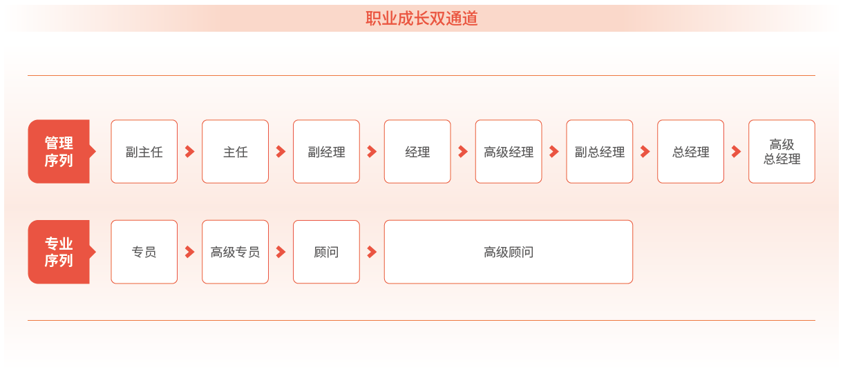 职业成长双通道
