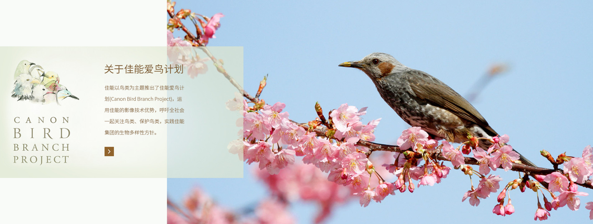 环境可持续发展