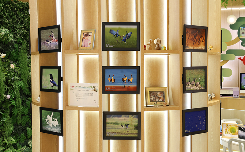 上海展厅展示场景