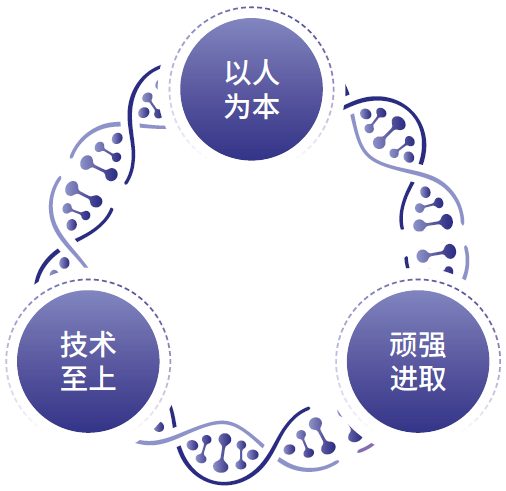 企业 DNA
