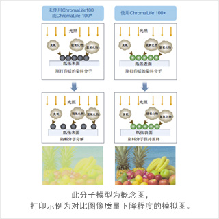 已改进的耐光性及耐气性