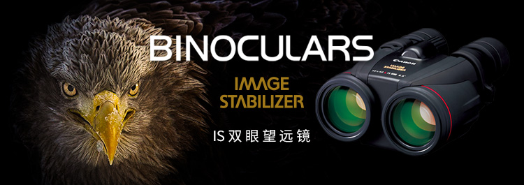 BINOCULARS IS双眼望远镜