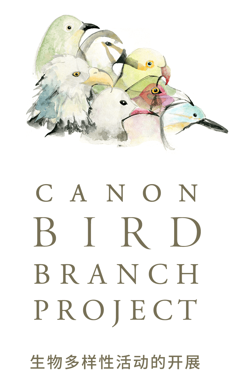 CANON BIRD BRANCH PROJECT 生物多样性活动的开展