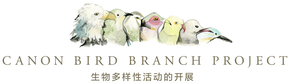 CANON BIRD BRANCH PROJECT 生物多样性活动的开展