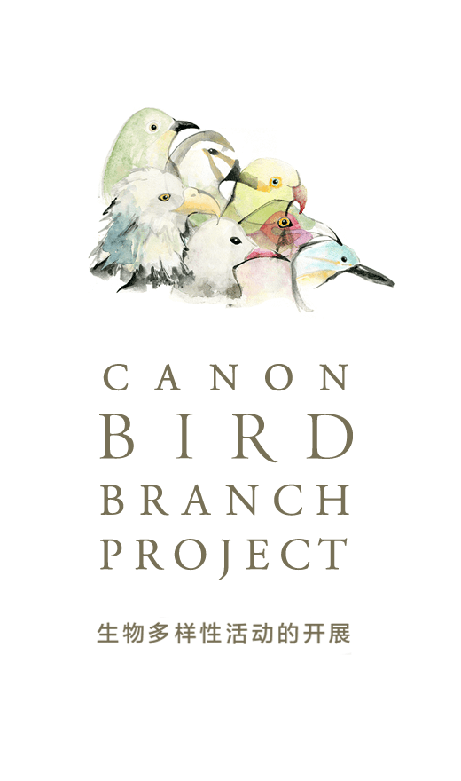 CANON BIRD BRANCH PROJECT 生物多样性活动的开展