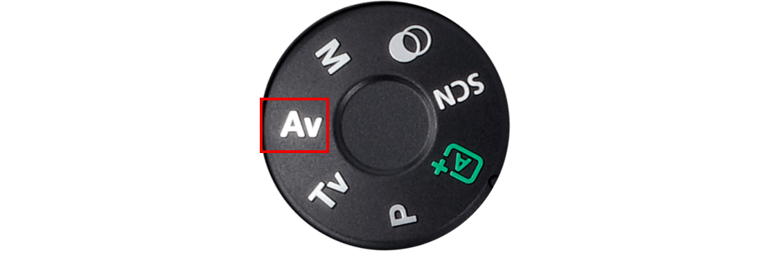 选择Av模式,调小光圈拍得锐利,调大光圈出柔美虚化