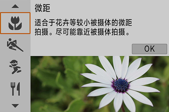 选择微距模式
