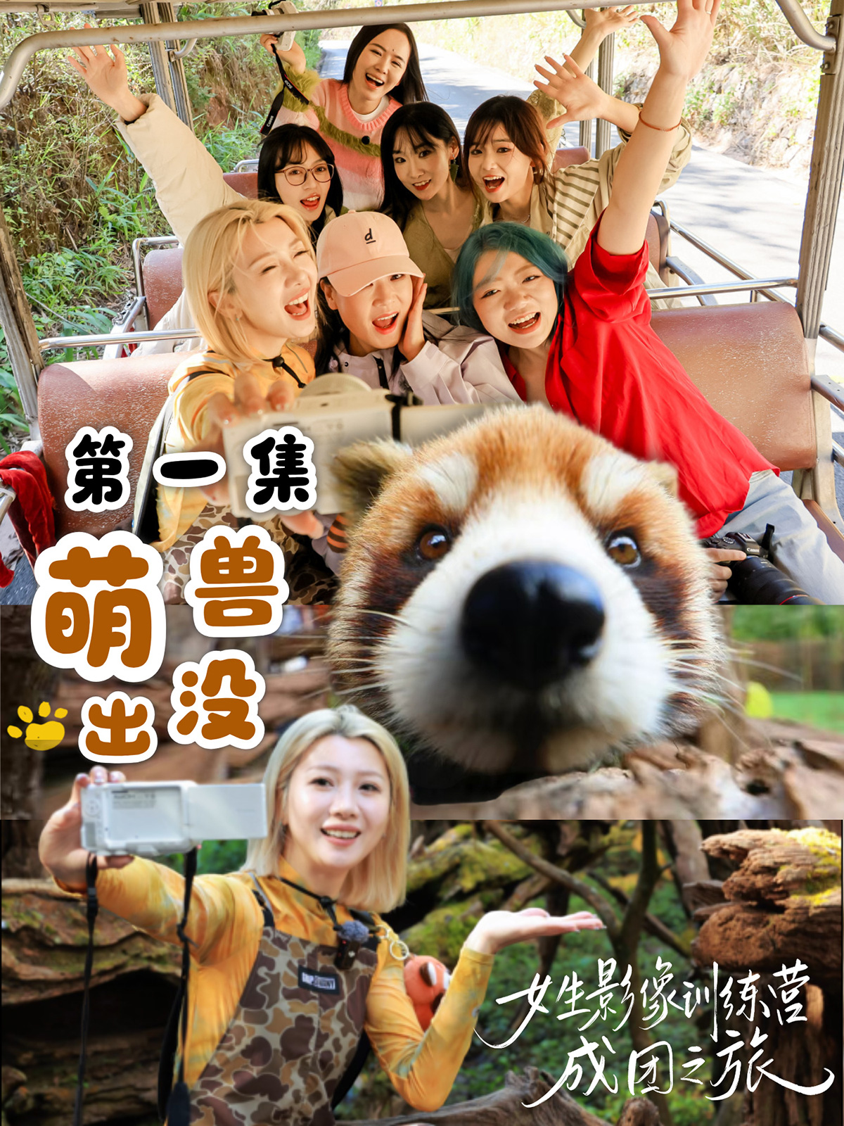 成团之旅